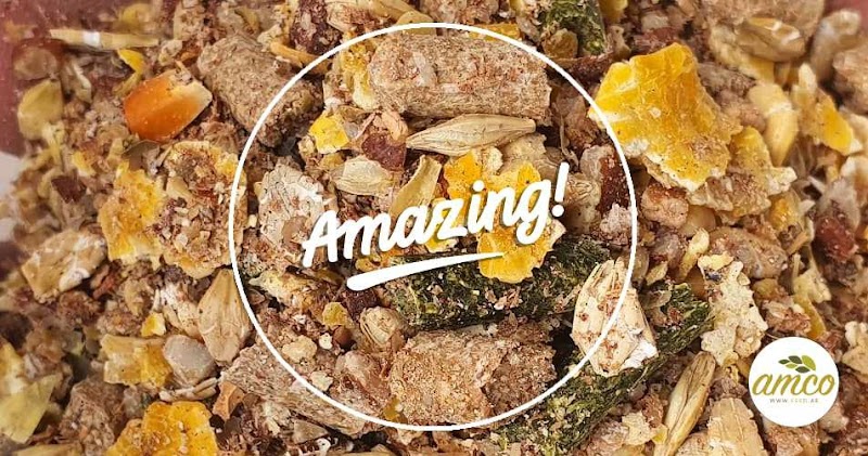 تصویر شماره 5