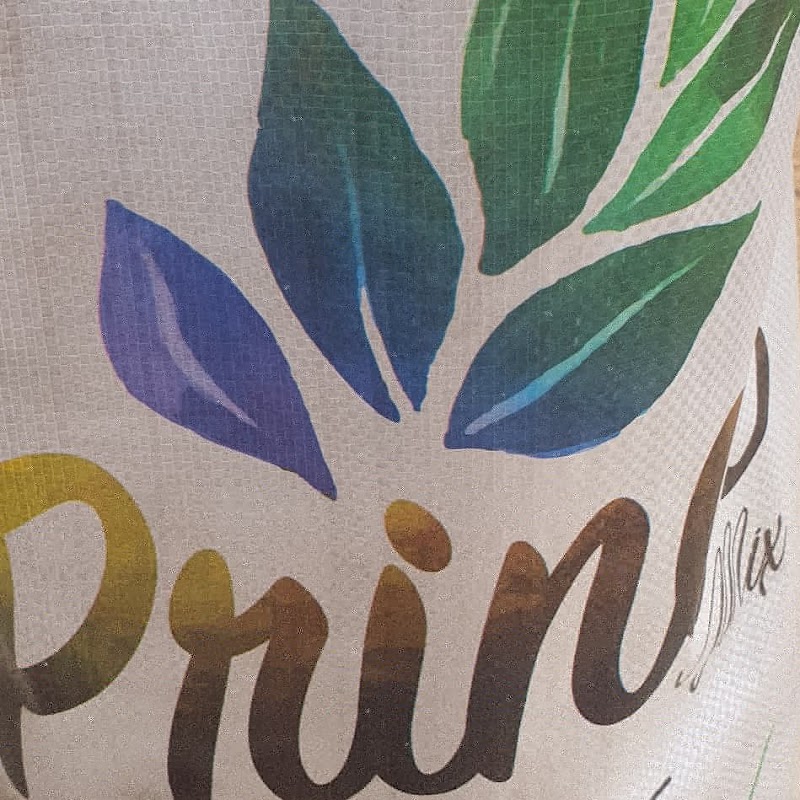 تصویر شماره 6