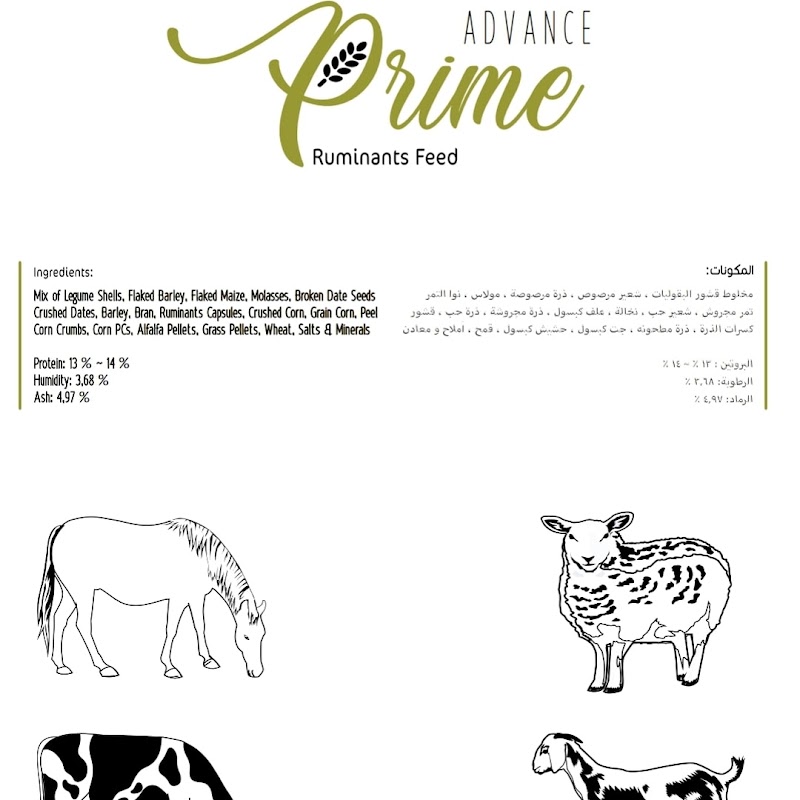 تصویر شماره 8