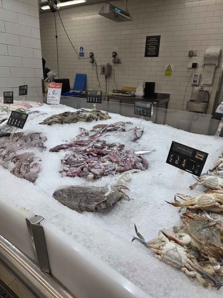 تصویر شماره 4