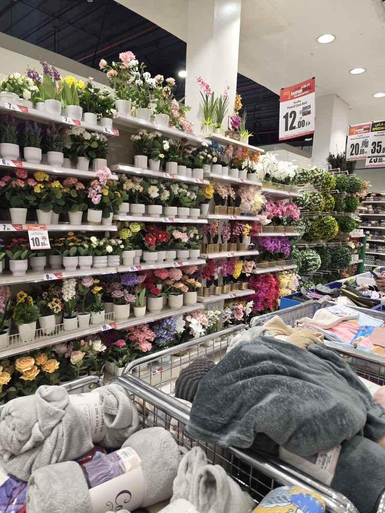 تصویر شماره 4