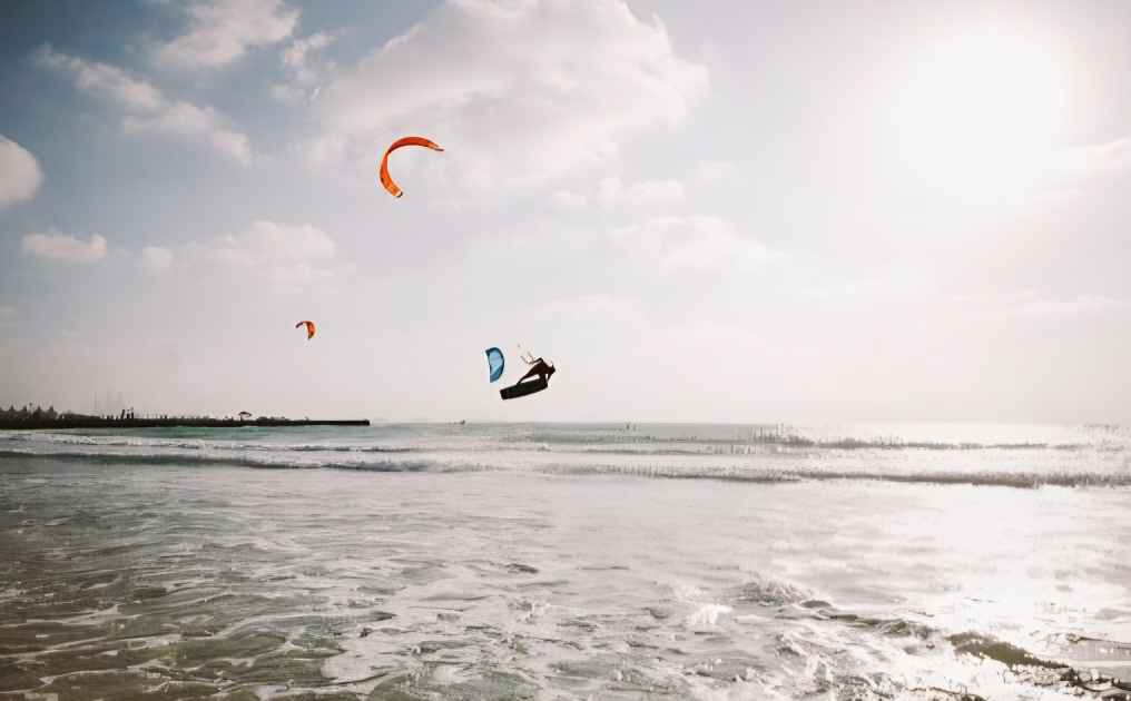 تصویر شماره 4