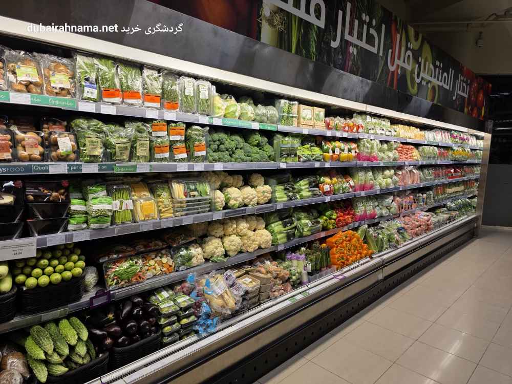 تصویر شماره 8