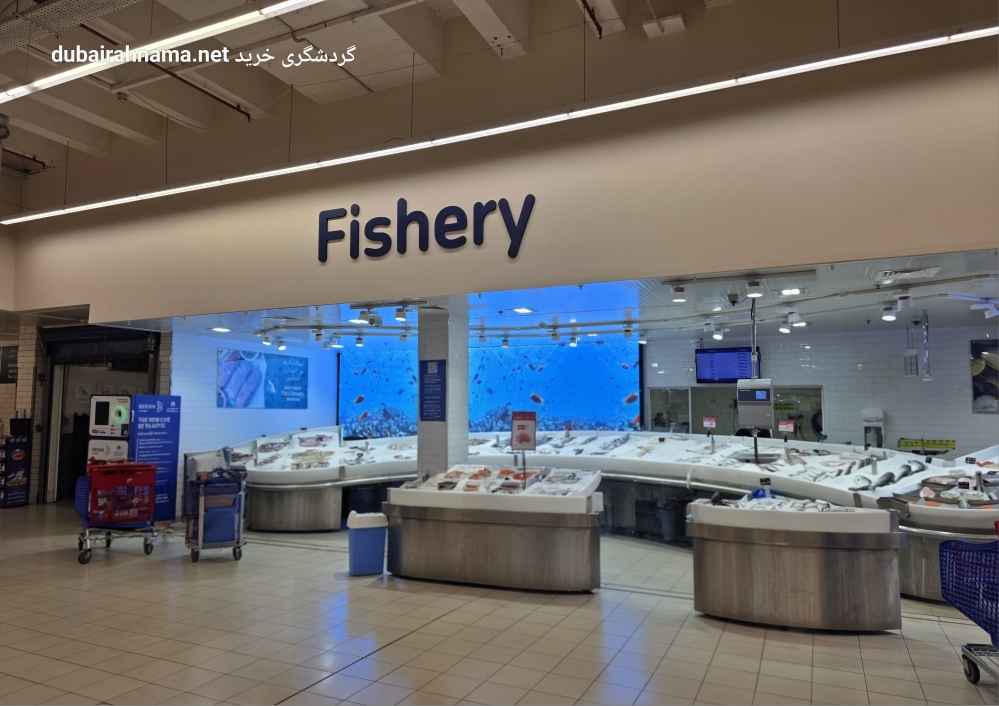 تصویر شماره 1