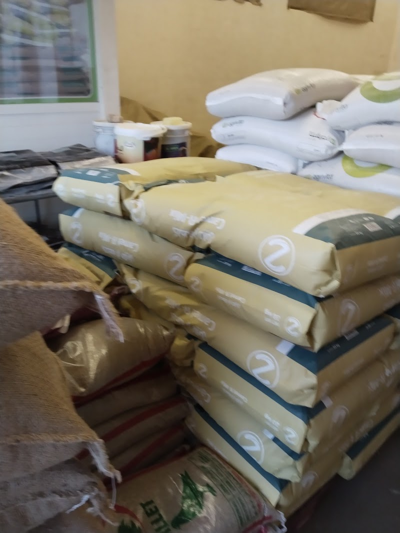 تصویر شماره 2