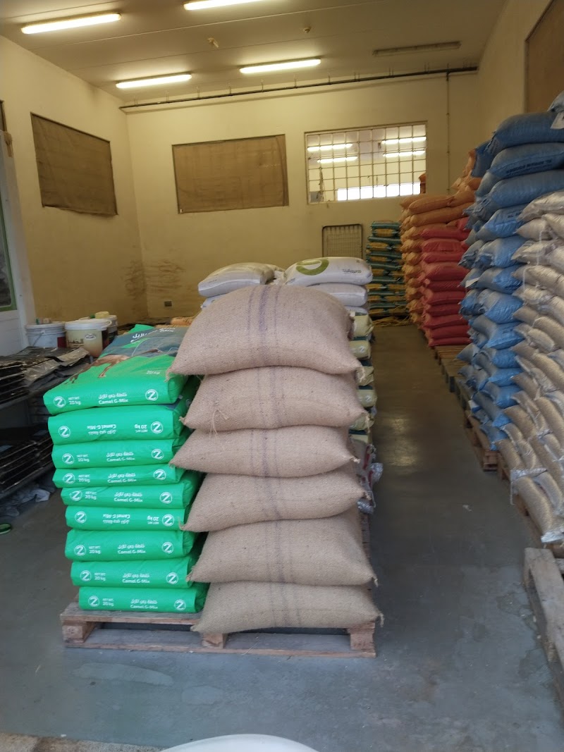 تصویر شماره 4