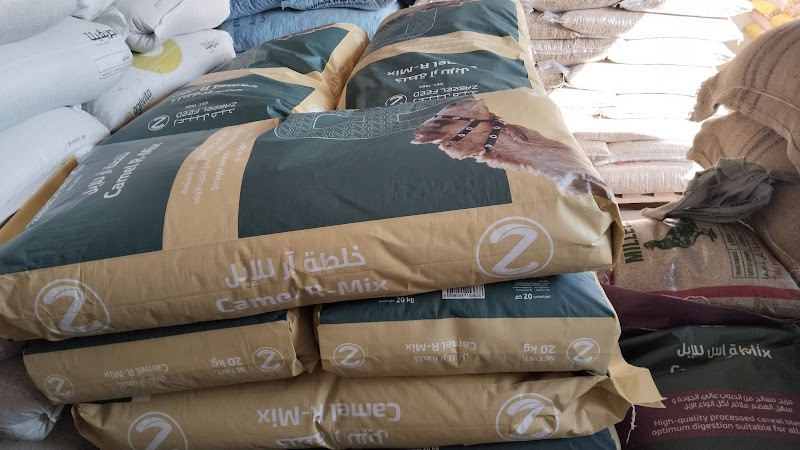 تصویر شماره 6