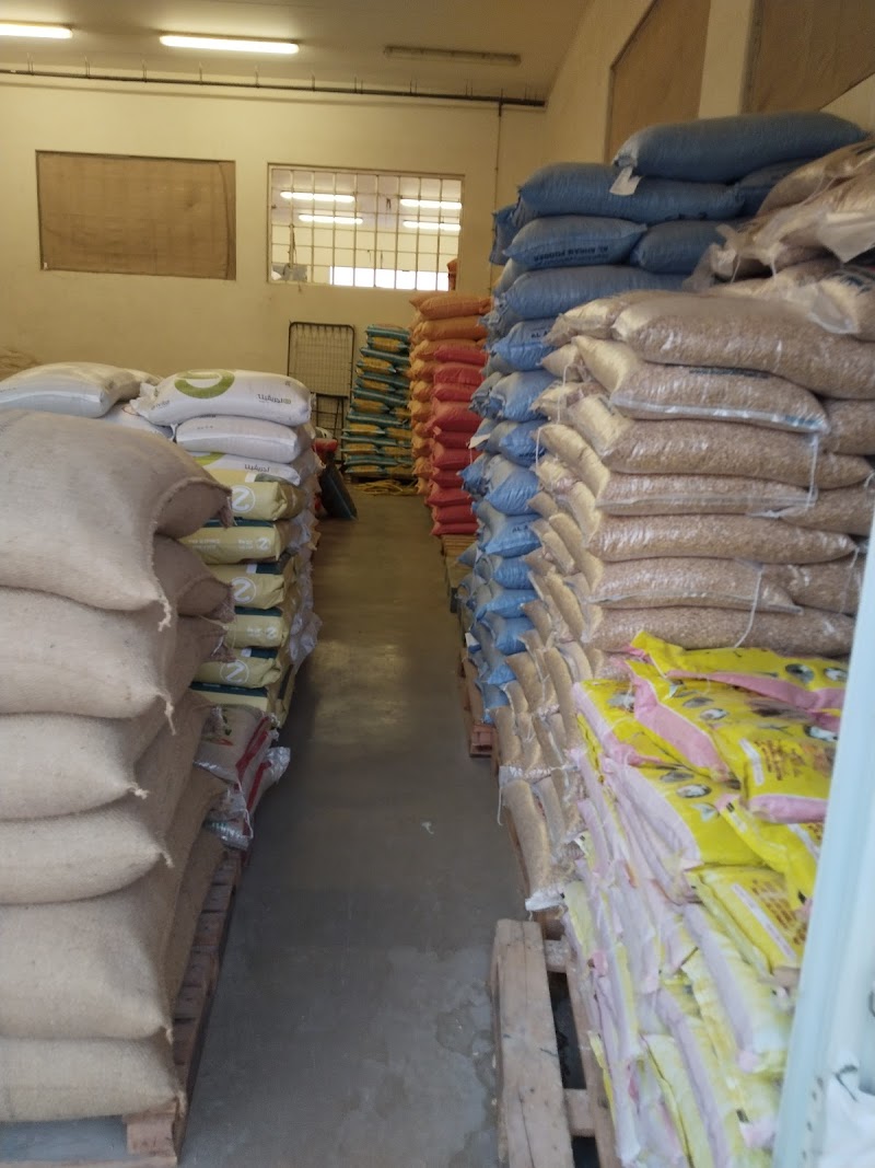 تصویر شماره 7