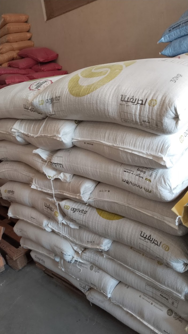 تصویر شماره 8