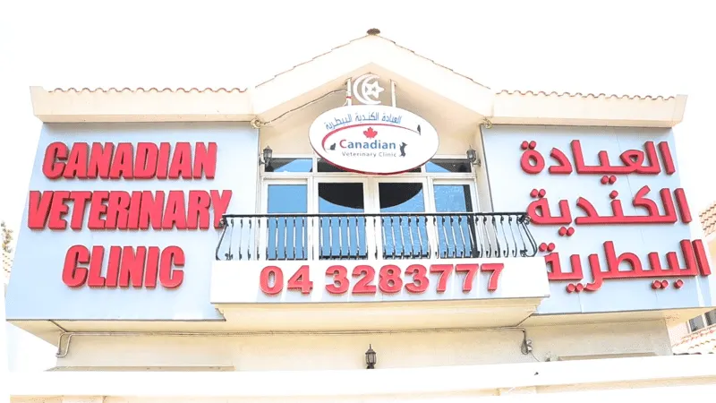 کلینیک دامپزشکی کانادایی | دبی