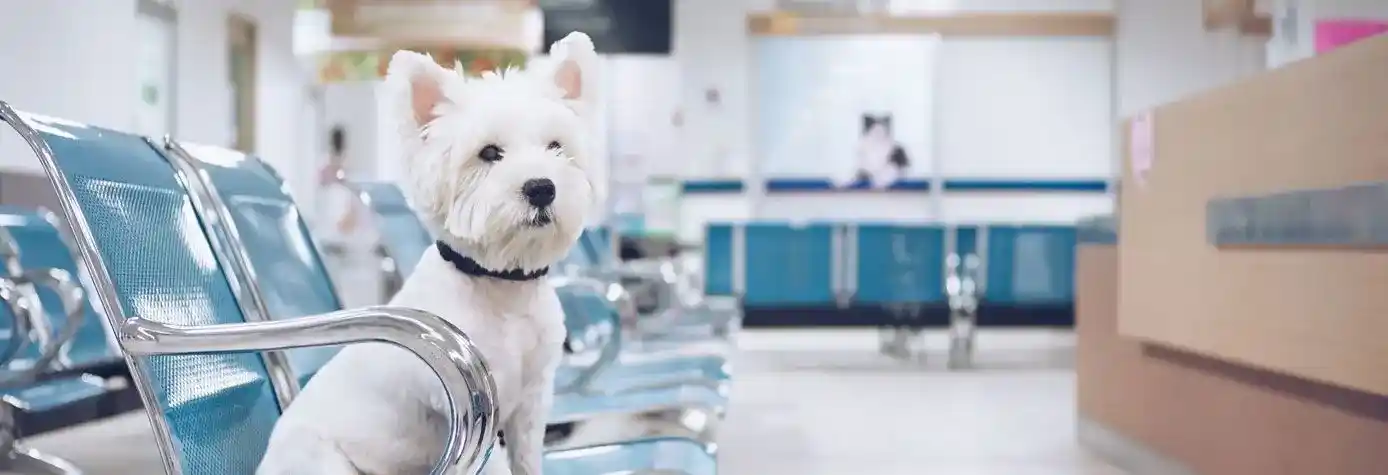 تصویر شماره 2