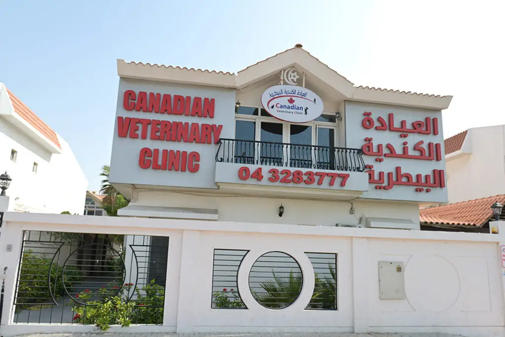 تصویر شماره 3