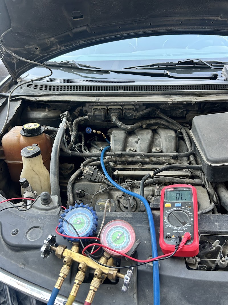 تصویر شماره 2