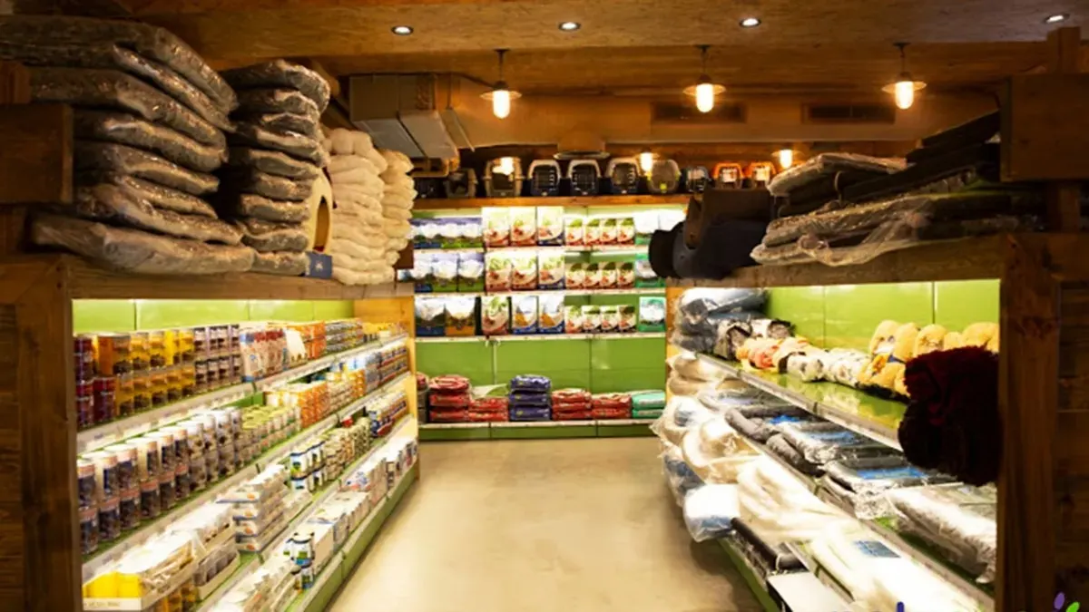 تصویر شماره 2