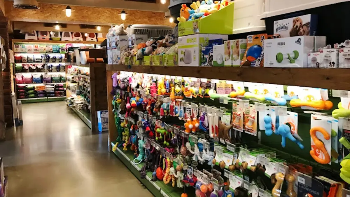 تصویر شماره 3