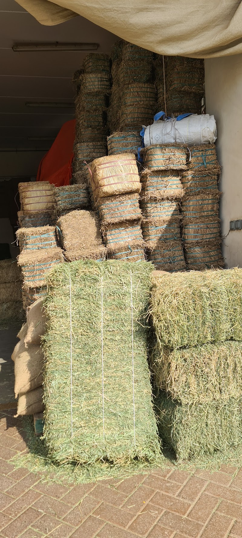 تصویر شماره 2