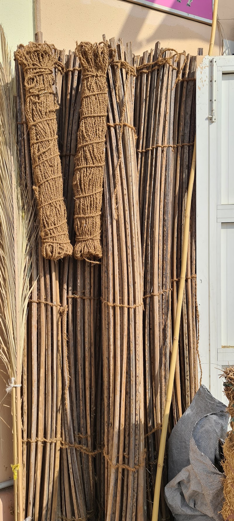 تصویر شماره 5