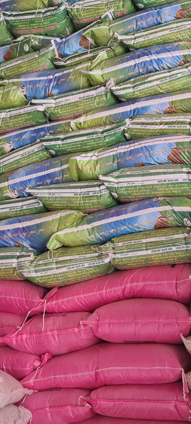 تصویر شماره 6