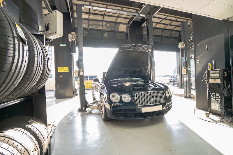 تصویر شماره 9