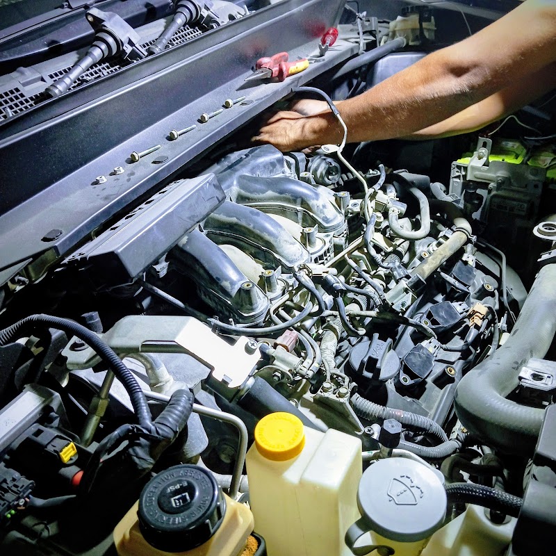 تصویر شماره 2