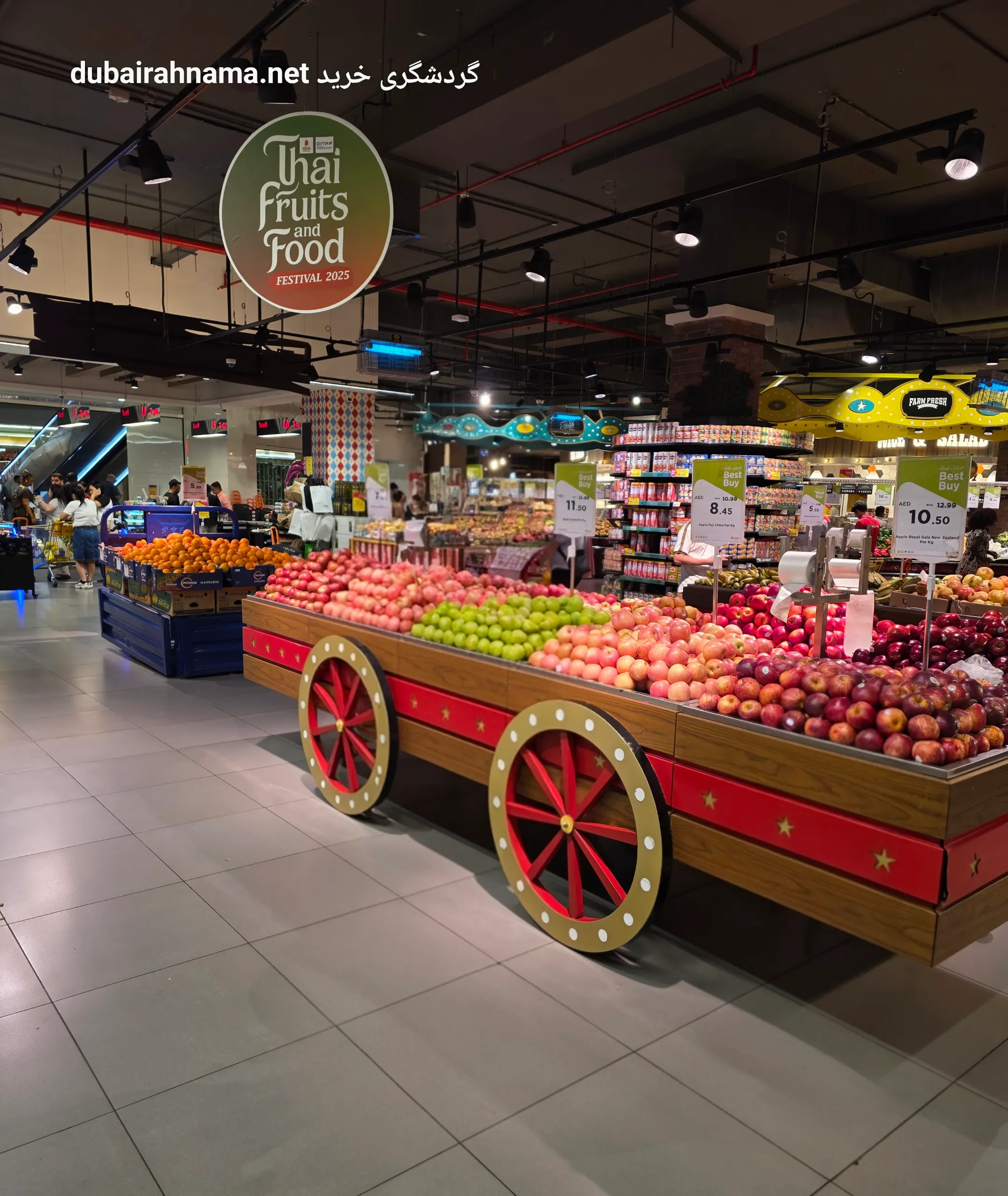 تصویر شماره 5