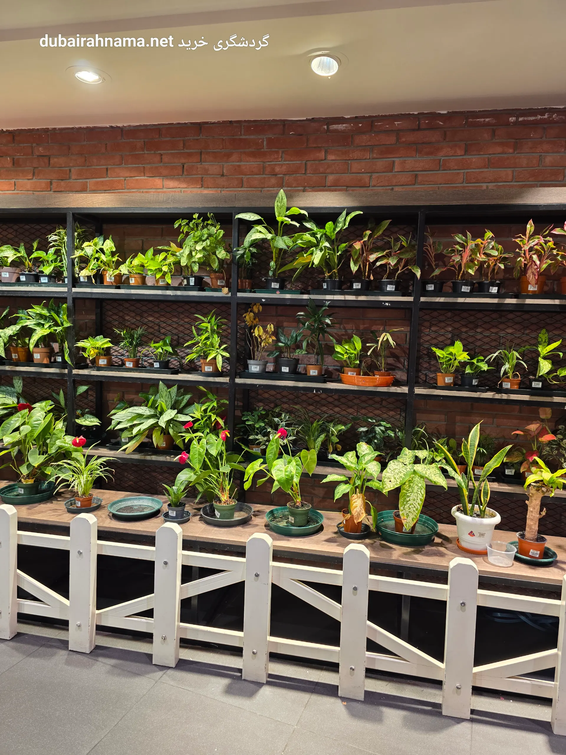 تصویر شماره 9