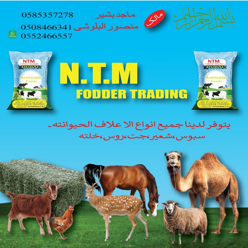 تصویر شماره 1