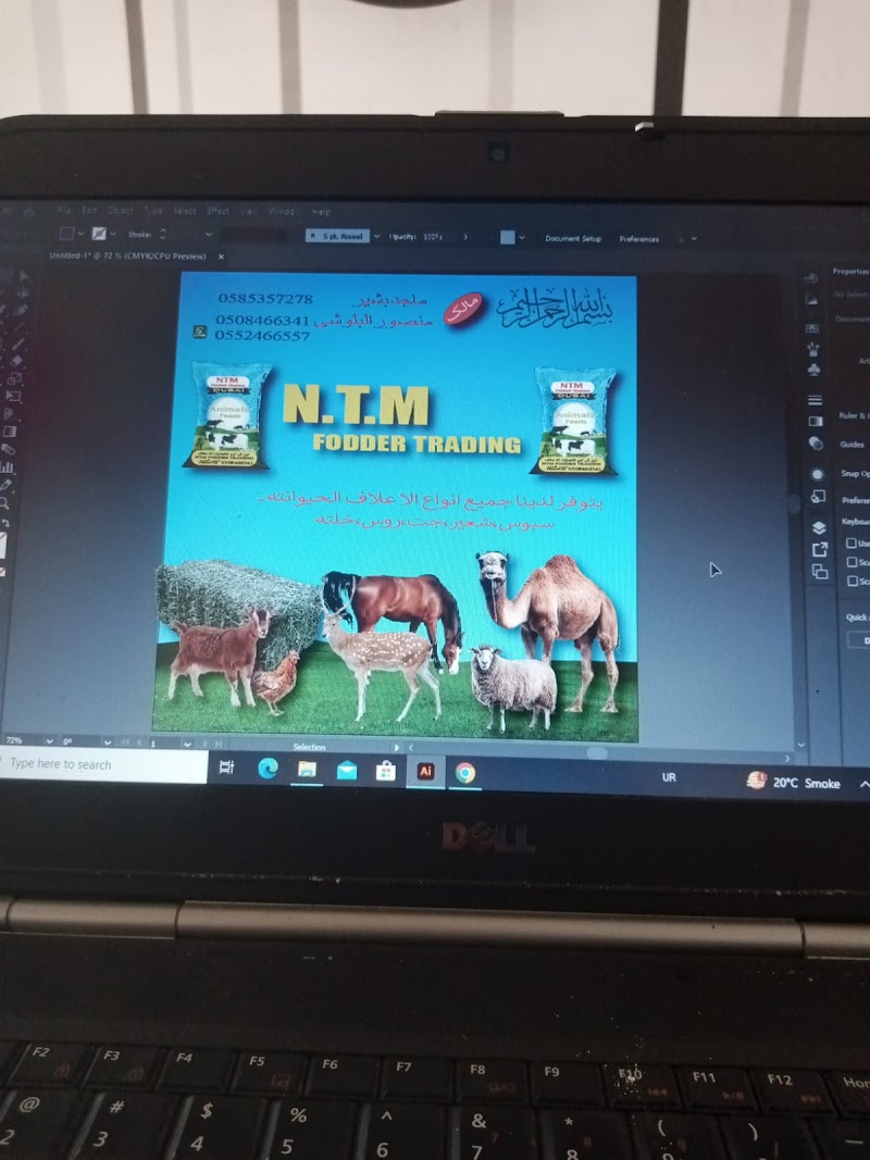 تجارت علوفه NTM | دبی