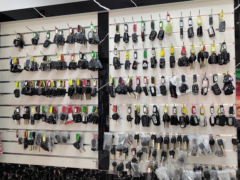 تصویر شماره 3