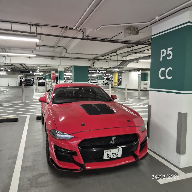 تصویر شماره 2