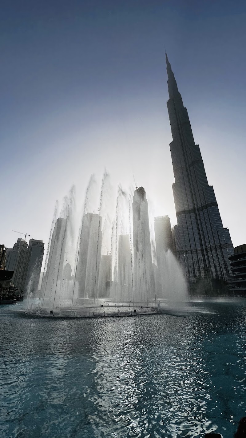 تصویر شماره 7