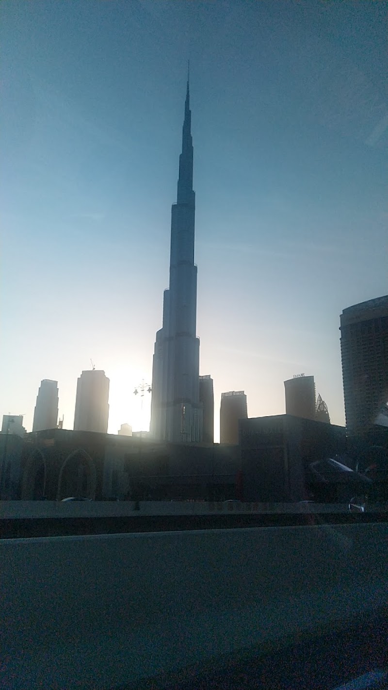 تصویر شماره 8