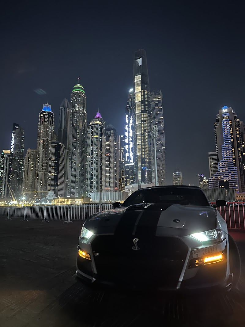 تصویر شماره 8