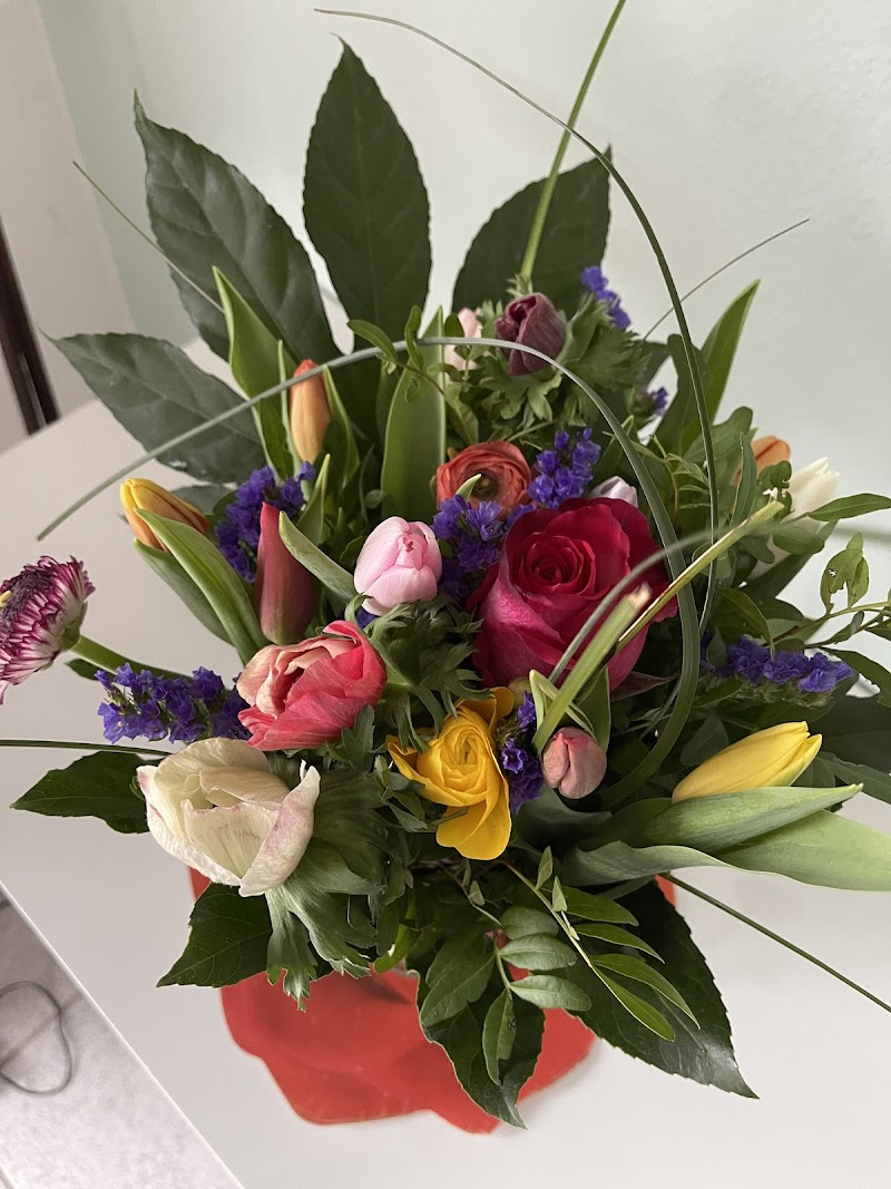 تصویر شماره 4