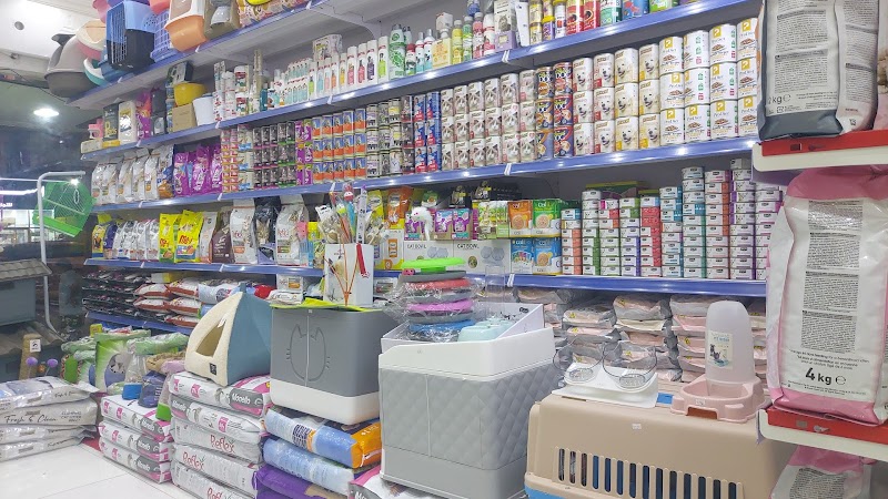 تصویر شماره 9