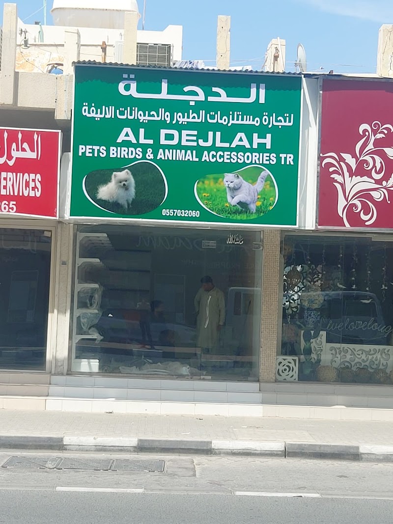 تصویر شماره 3