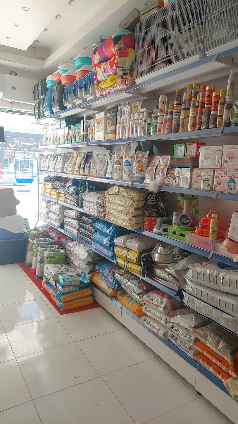 تصویر شماره 4