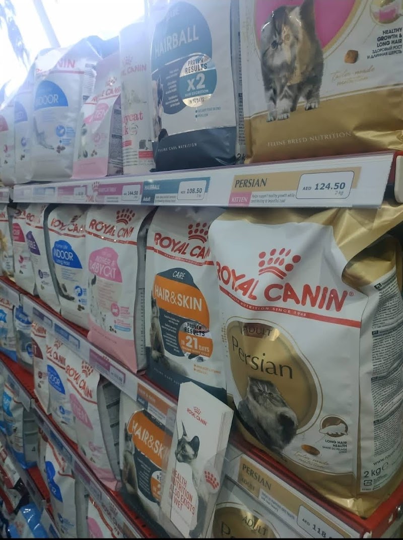 تصویر شماره 5