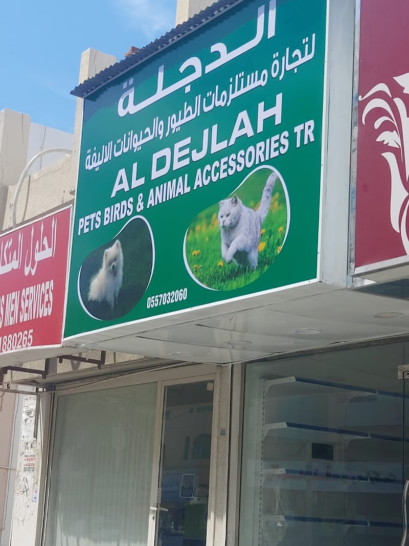 تصویر شماره 6