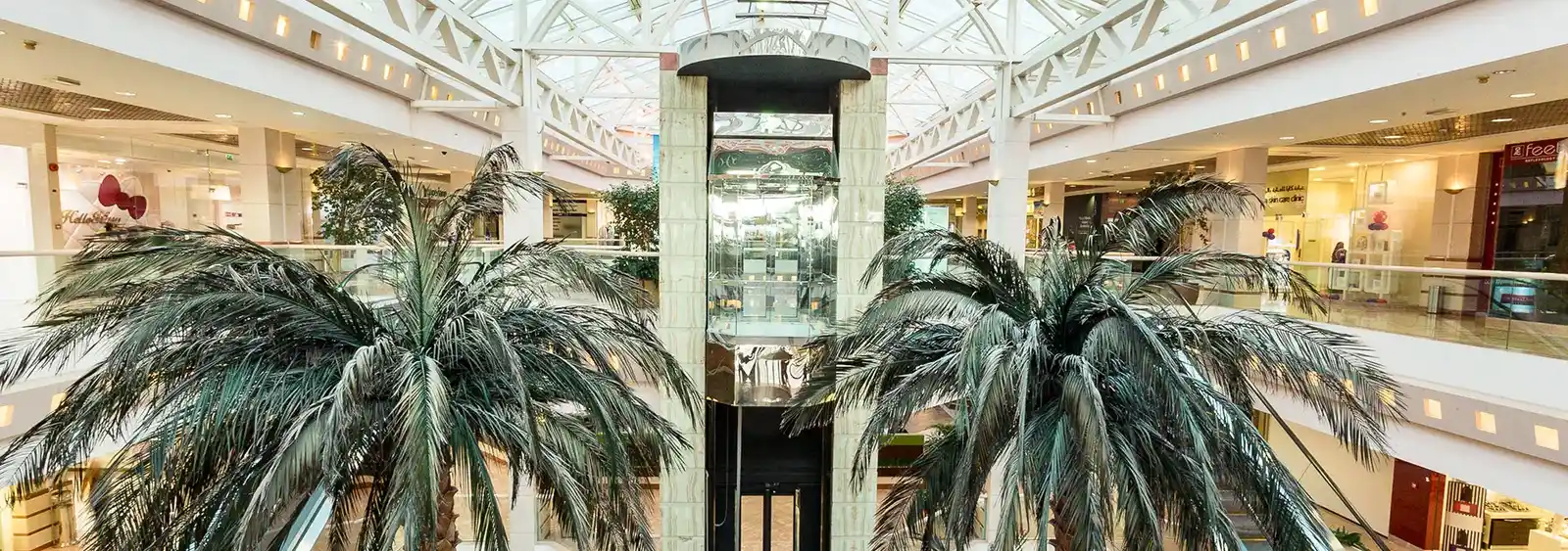 تصویر شماره 2