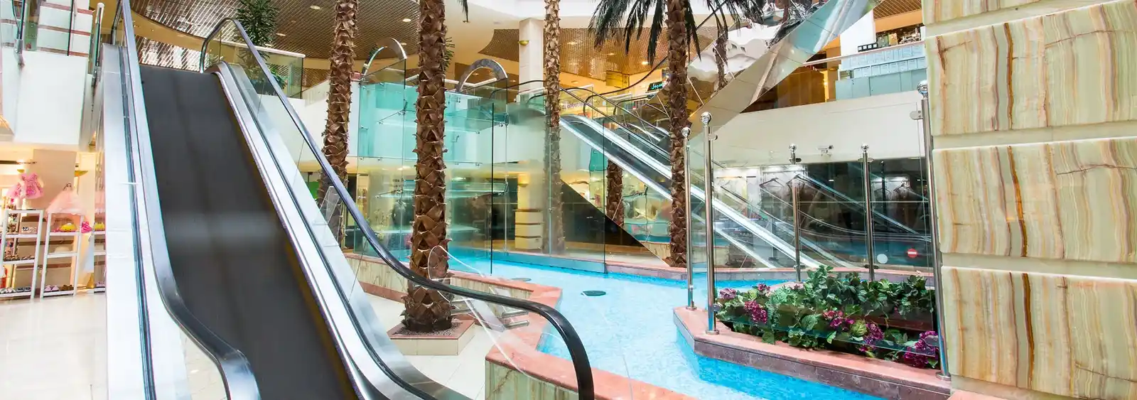 تصویر شماره 3