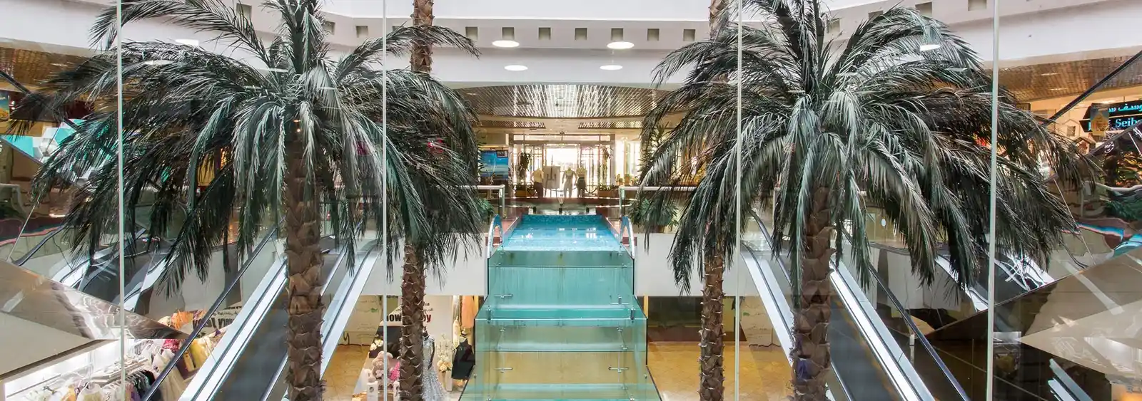 تصویر شماره 4