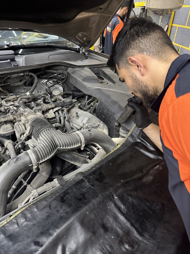 تصویر شماره 3