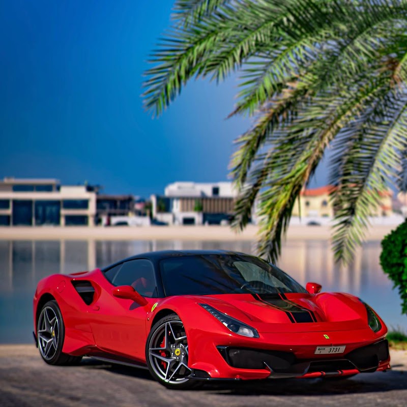 تصویر شماره 4