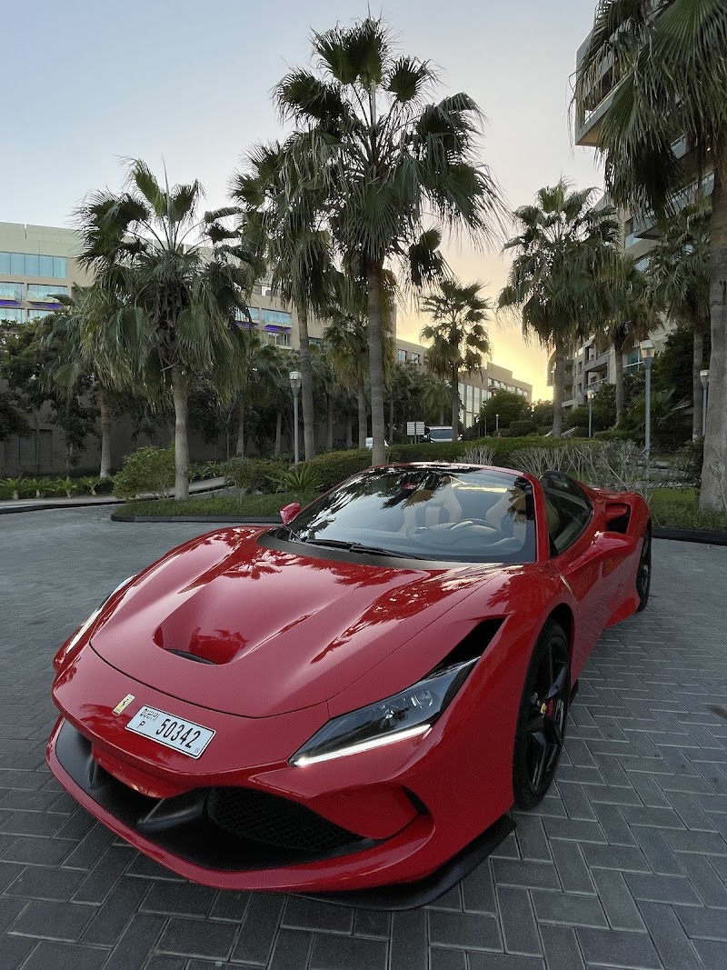 تصویر شماره 8