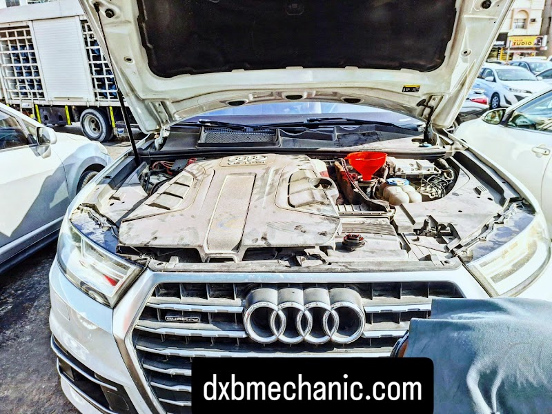 تصویر شماره 2