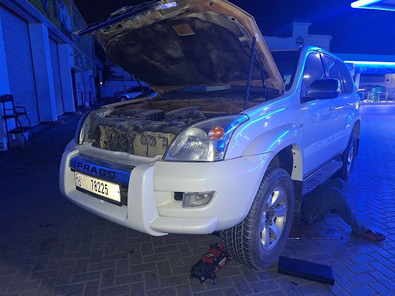 تصویر شماره 7