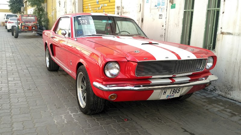 تصویر شماره 8