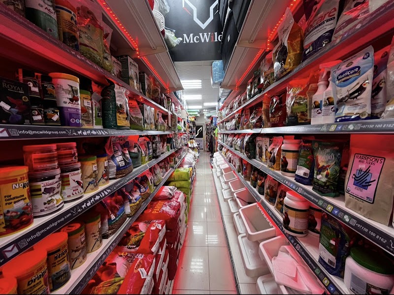 تصویر شماره 9