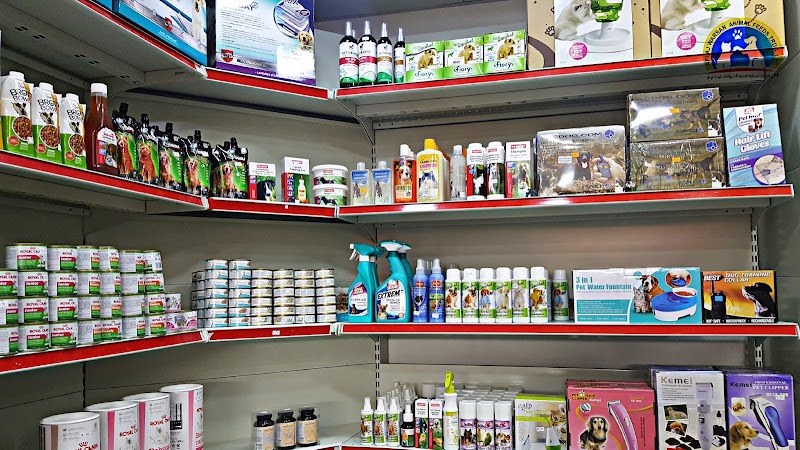 تصویر شماره 4